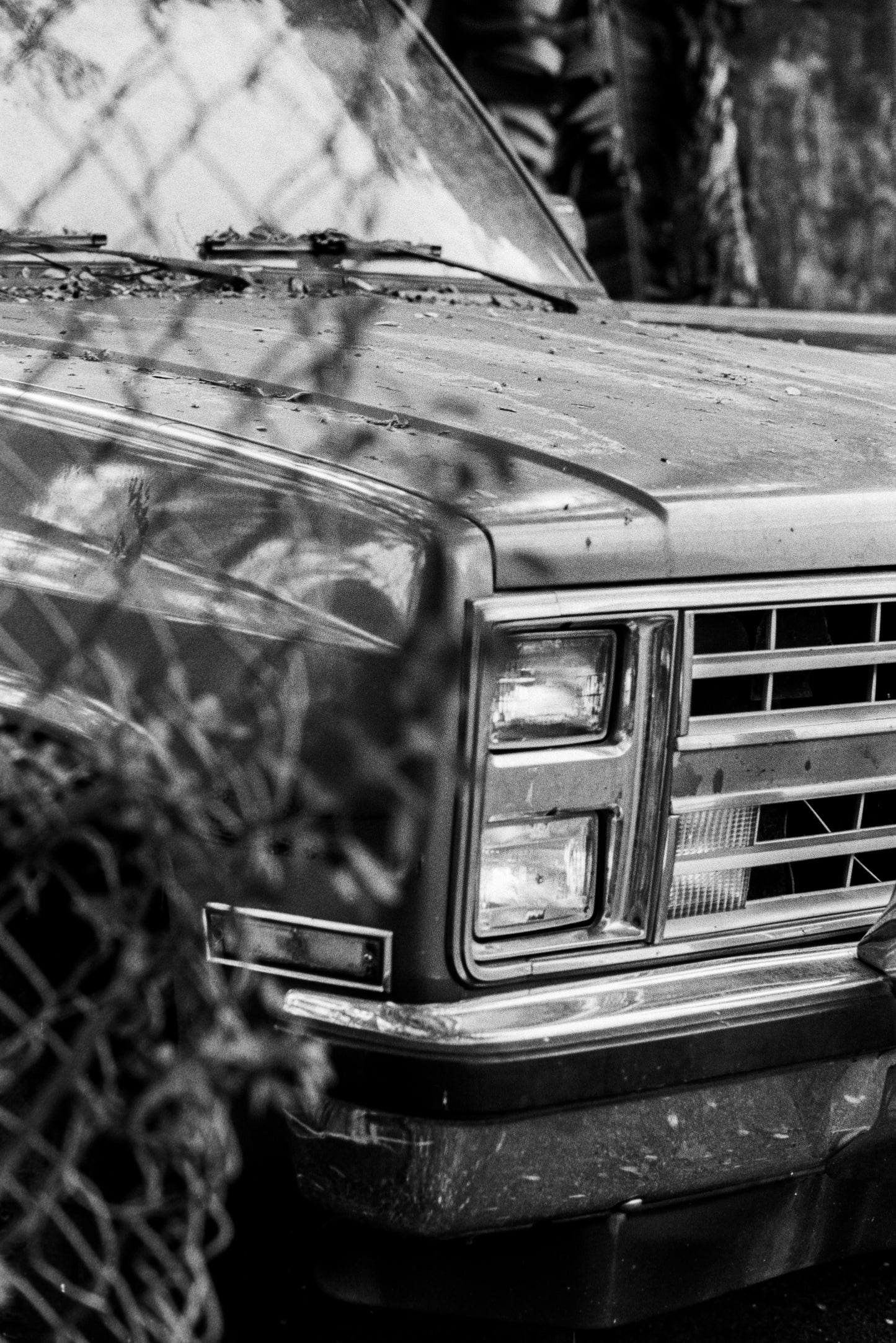 Ilford - FP4
