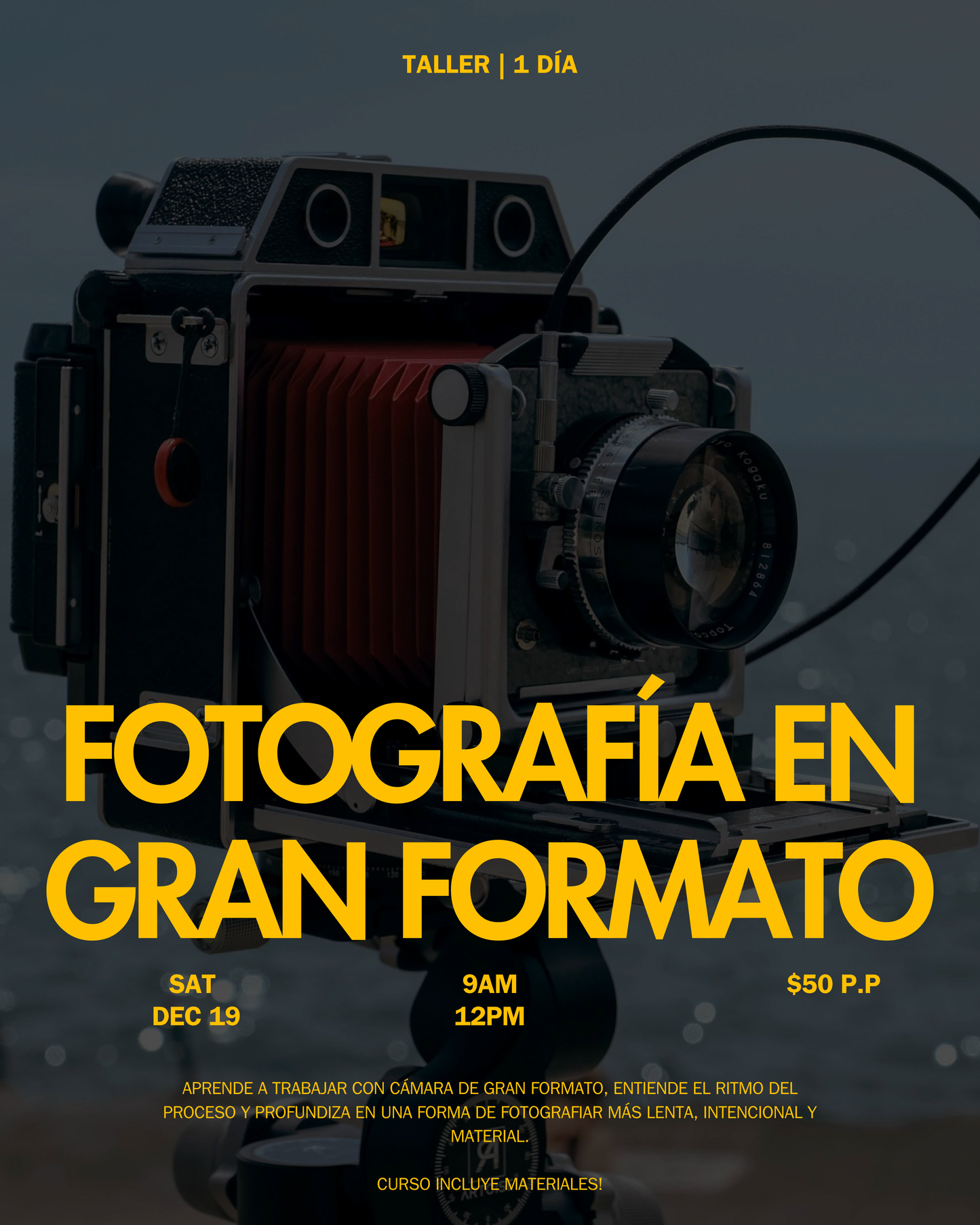 Taller de un día - Fotografía en Gran Formato (Dec 19)