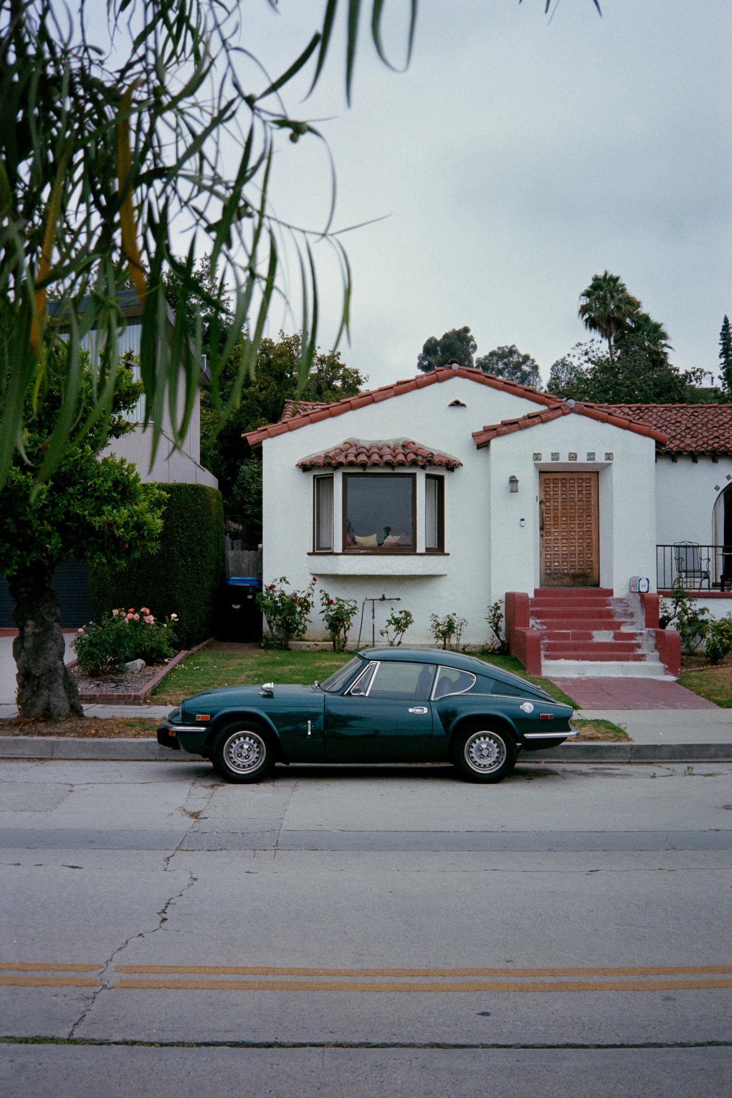 Kodak - Portra 400 / Ektacolor Pro 400