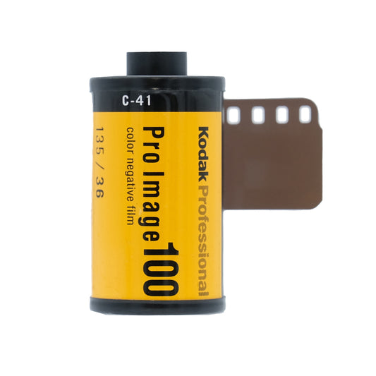 Kodak Pro Image 100